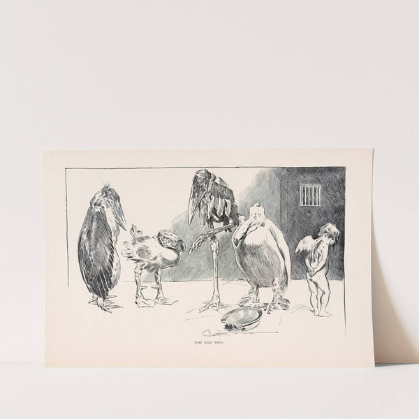 Some rare birds (1896) by Charles Dana Gibson