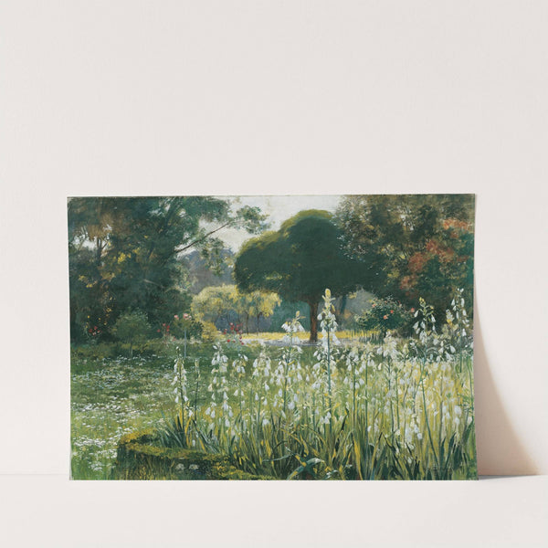 Sommerhyazinthen (Galtonien) Gladiolen by Hugo Charlemont