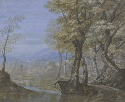 Sommerlandschaft mit Durchblick durch einen Buchenwald
