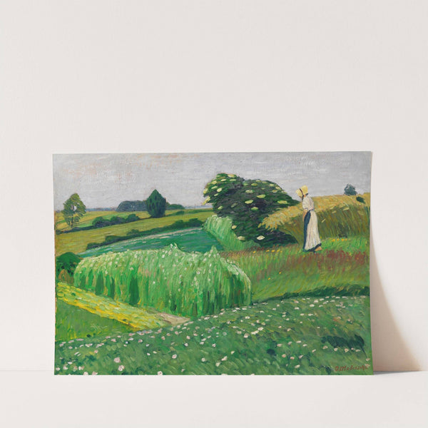 Sommerliche Wiesen bei Fischerhude (1912) by Otto Modersohn