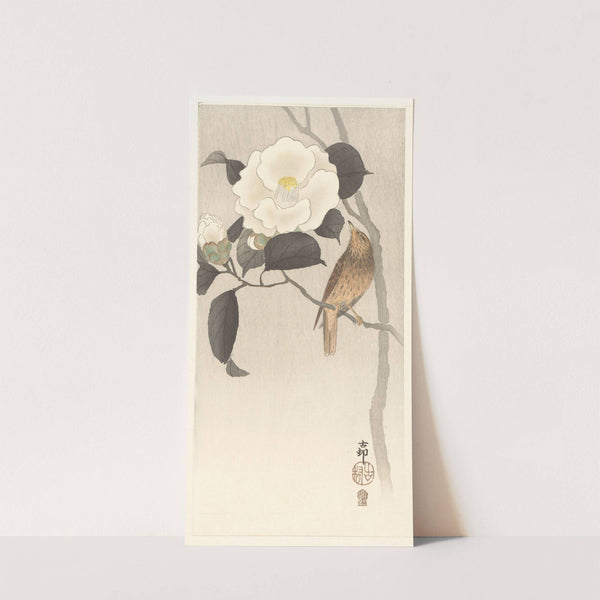 Songbird and flowering camellia by Ohara Koson