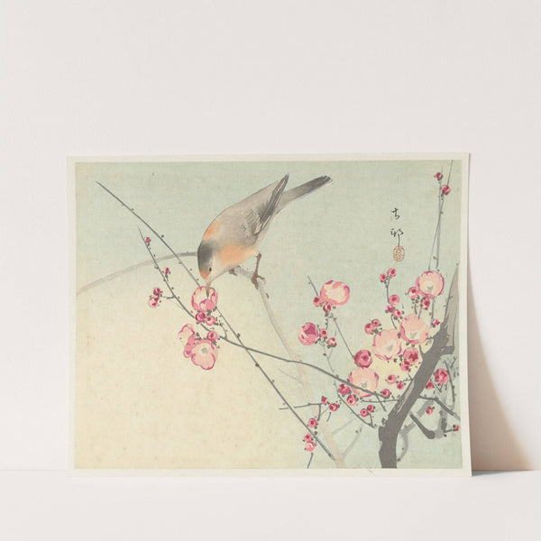 Songbird on blossom branch by Ohara Koson