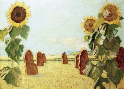 Sonnenblumen