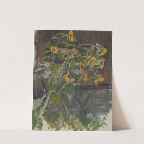 Sonnenblumen by Anton Nowak