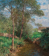 Sonnige Bachlandschaft