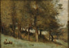 Sous-bois