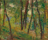 Sous-Bois