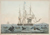 South Sea Whale Fishery