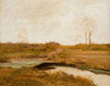 Southfield Marshes, Staten Island