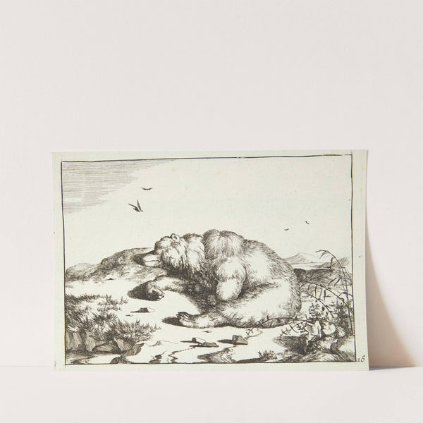 Sovende bjørn by Marcus de Bye