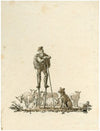 Spaanse herder met schapen