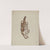Spade Bit by Rose Campbell-Gerke