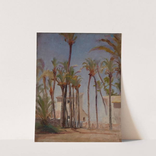 Spain (Elche) by Jan Ciągliński