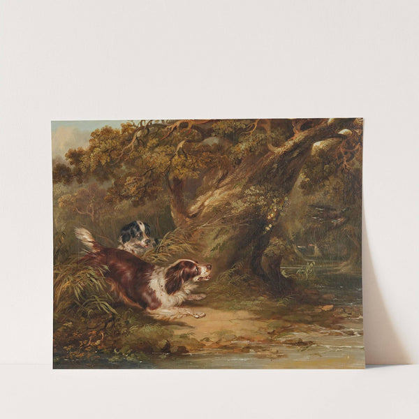 Spaniels putting up duck by George Armfield