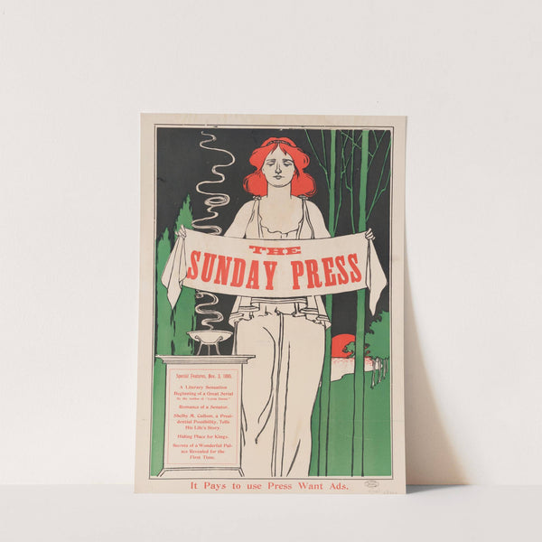 Special features, Nov. 3, 1895. by George Reiter Brill