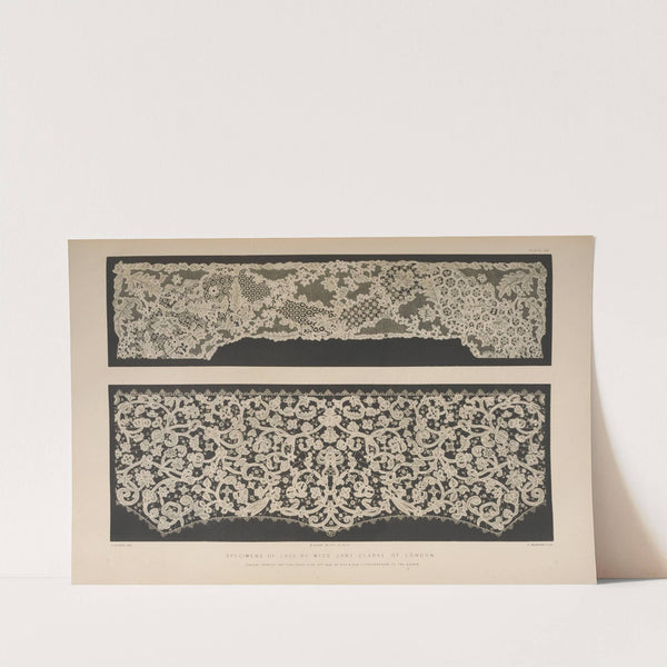Specimens of lace by Miss Jane Clarke of London by Matthew Digby Wyatt