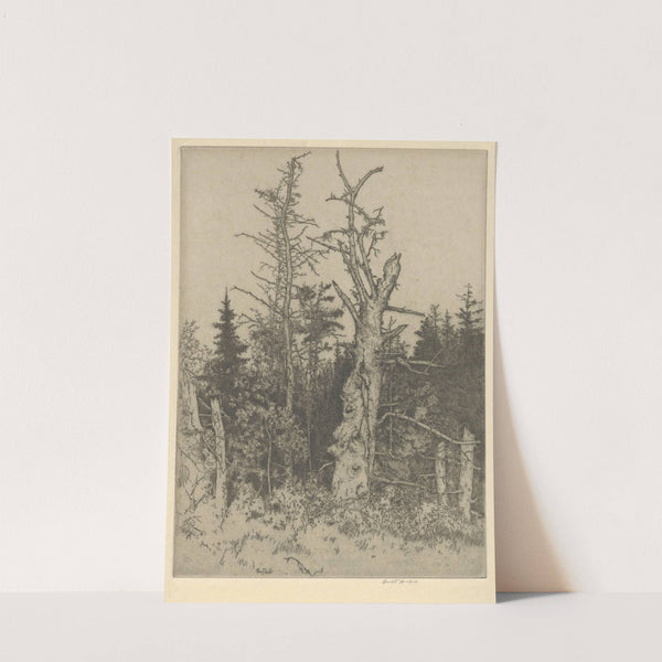 Spectre (1900-1925) by Ernest Haskell