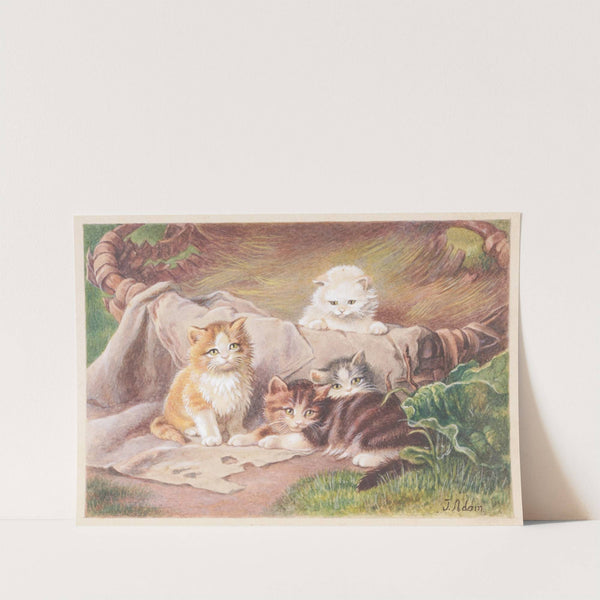 Spielende Katzen by Julius Adam the elder