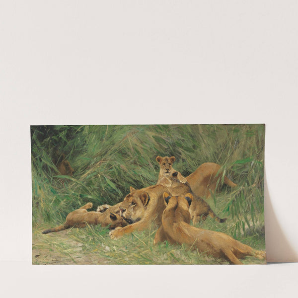 Spielende Löwen (Ca. 1917-1926) by Wilhelm Kuhnert