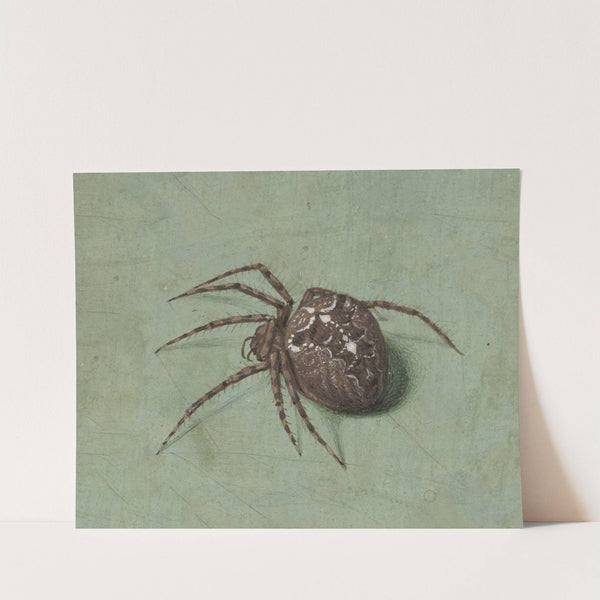 Spin by Jan Augustin van der Goes