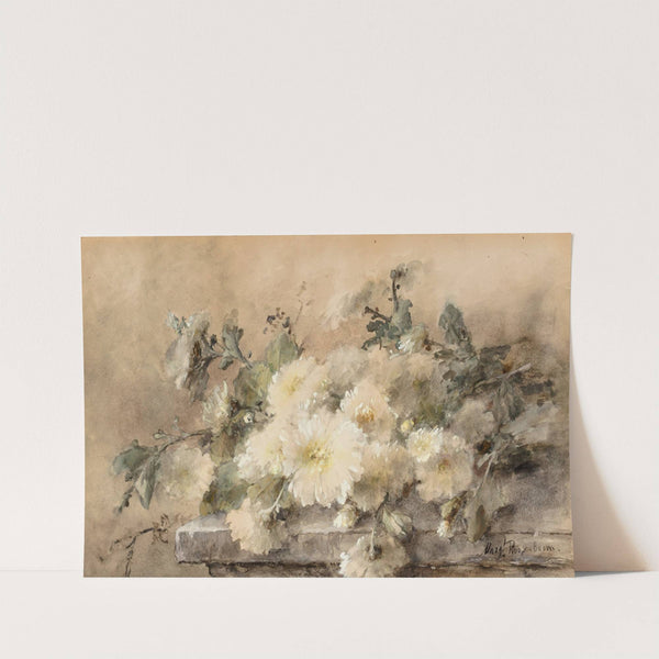 Spray of white chrysanthemums on a stone ledge by Margaretha Roosenboom