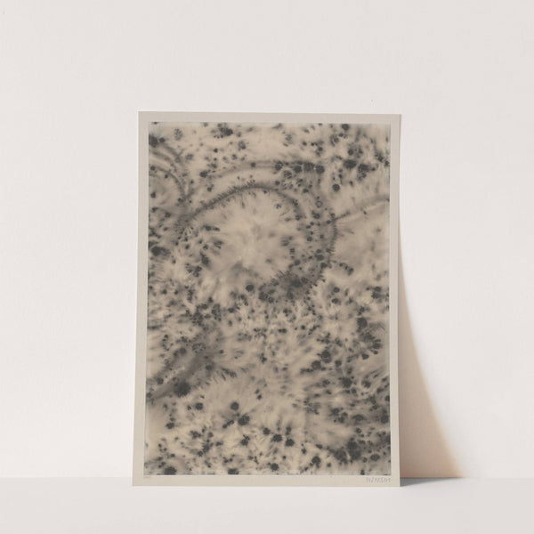 Sprenkelpapier (1900) by F. Svoboda