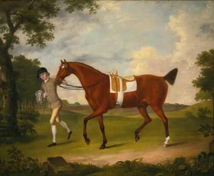 Sprightly, A Lady’s Hack Held By A Groom In A Landscape