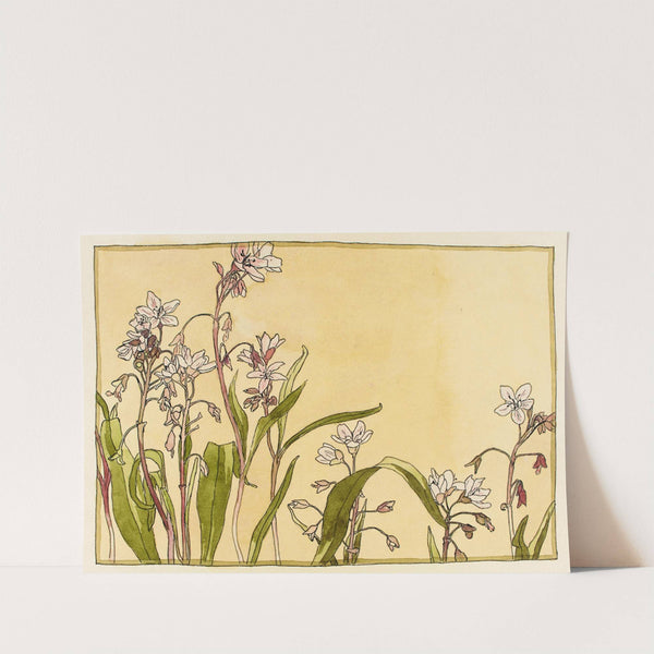 Spring Beauty by Hannah Borger Overbeck