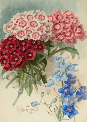 Spring Bouquet