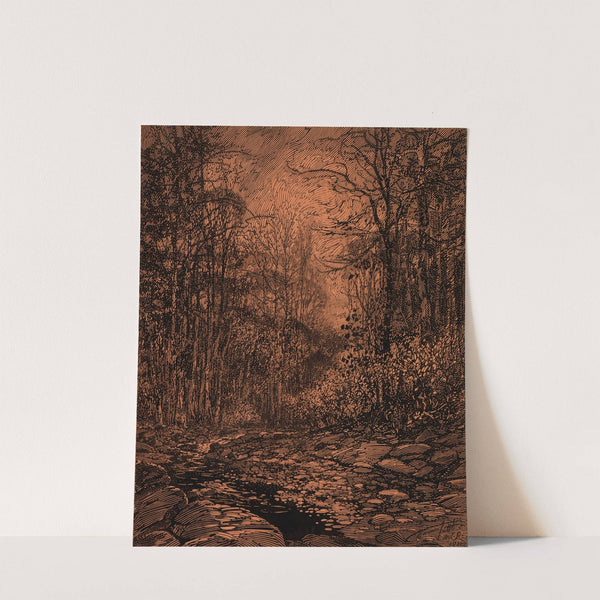 Spring Brook, Rock Creek Park by Macowin Tuttle