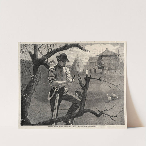 Spring Farm Work – Grafting (1870) by Winslow Homer