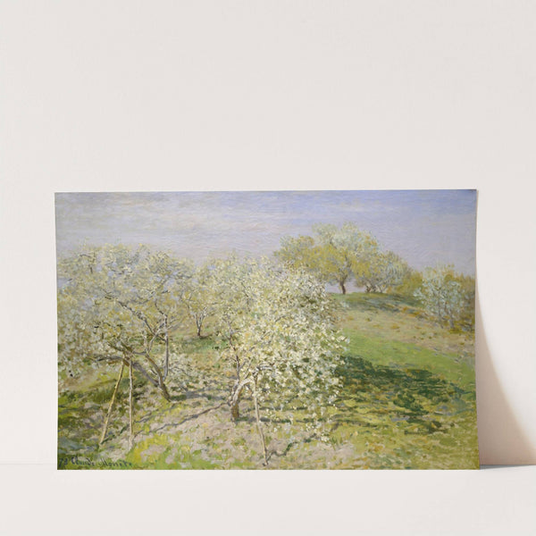 Spring (Fruit Trees in Bloom) (1873) by Claude Monet