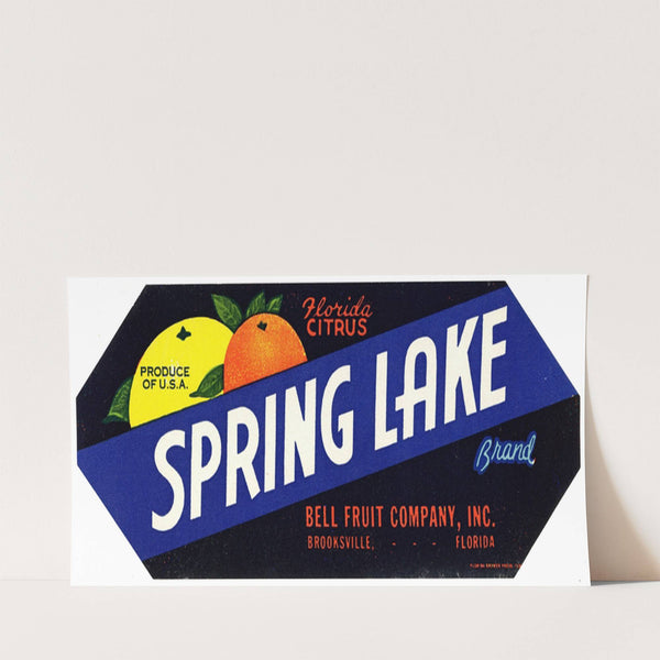 Spring Lake Brand Florida Citrus Label (1930-1950)