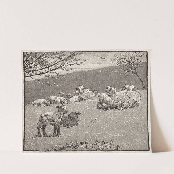 Spring Lamb (1880) by Winslow Homer