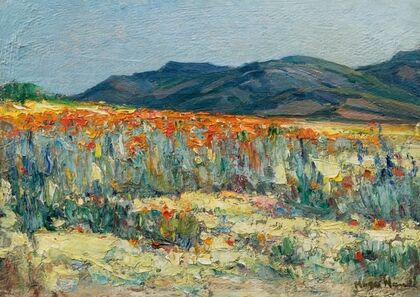 Springtime, Namaqualand