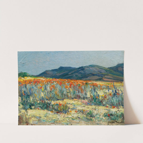 Springtime, Namaqualand by Pieter Hugo Naude