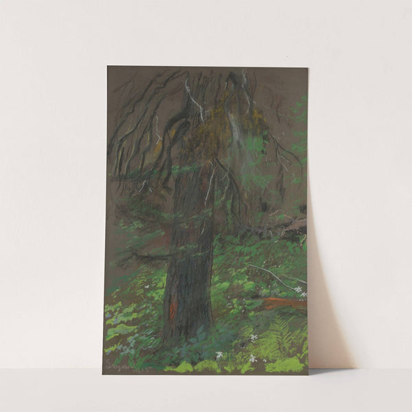 Spruce (1915) by Leon Wyczółkowski