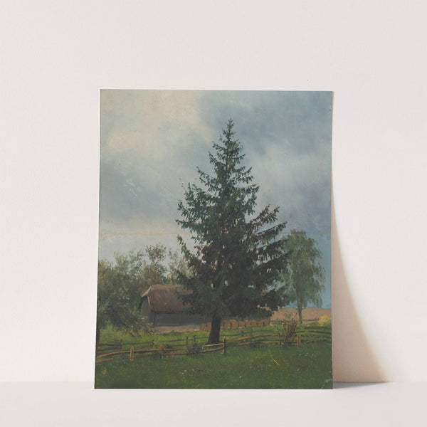 Spruce by Ferdynand Ruszczyc