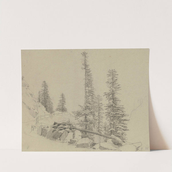 Spruce trees at the Via Mala by Johann Wilhelm Schirmer