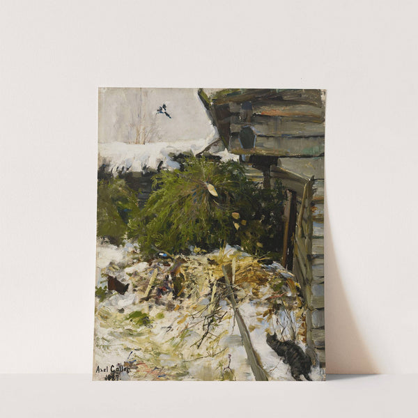 Spruces in a Farmyard (1887) by Akseli Gallen-Kallela