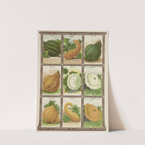 Squash (1921) by Genesee Valley Lithograph Co.