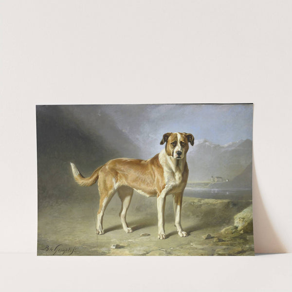 St Bernard Dog by Bernard te Gempt