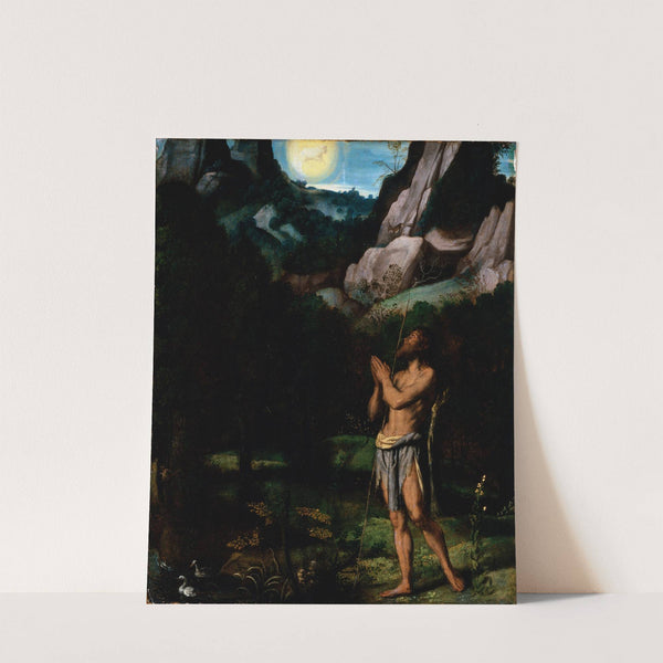 St. John the Baptist in the Wilderness by Moretto Da Brescia