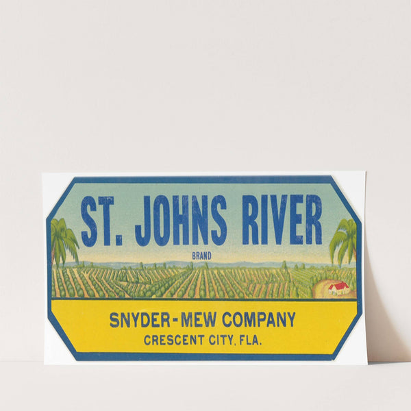 St. Johns River Brand Produce Label (1930-1950)