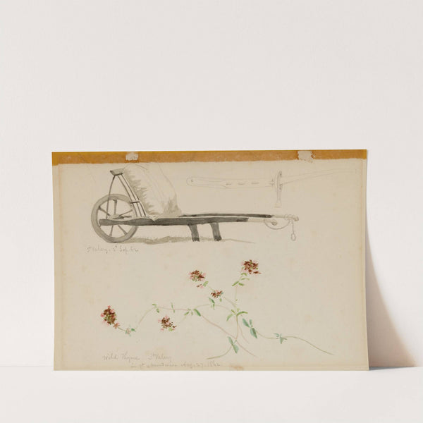 St. Valery-Blow-Wild Thyme by Miner Kilbourne Kellogg