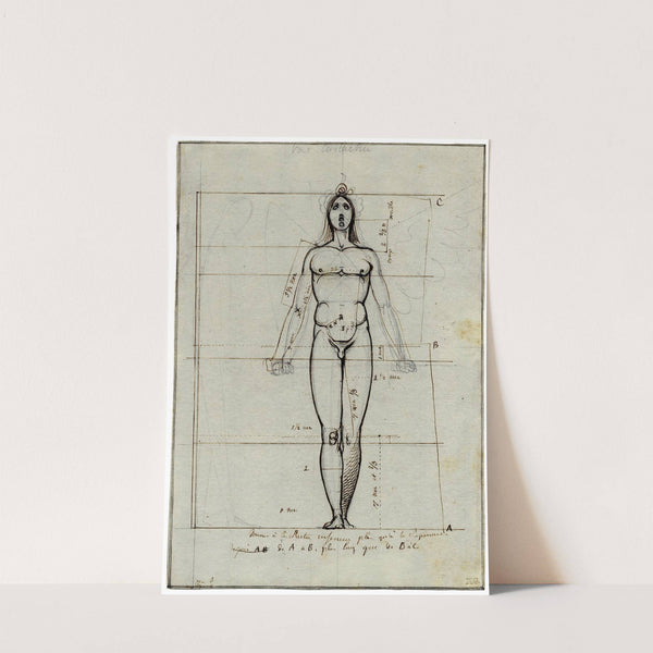 Staand mannelijk naakt, frontaal: met proportielijnen by David Humbert de Superville