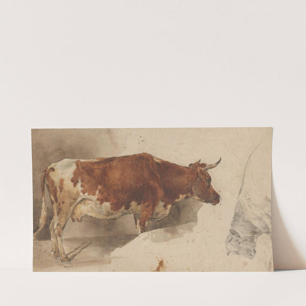 Staande koe, naar rechts, en schets van een rund (1845 - 1926) by Willem Carel Nakken
