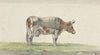 Staande koe, naar rechts (1816)