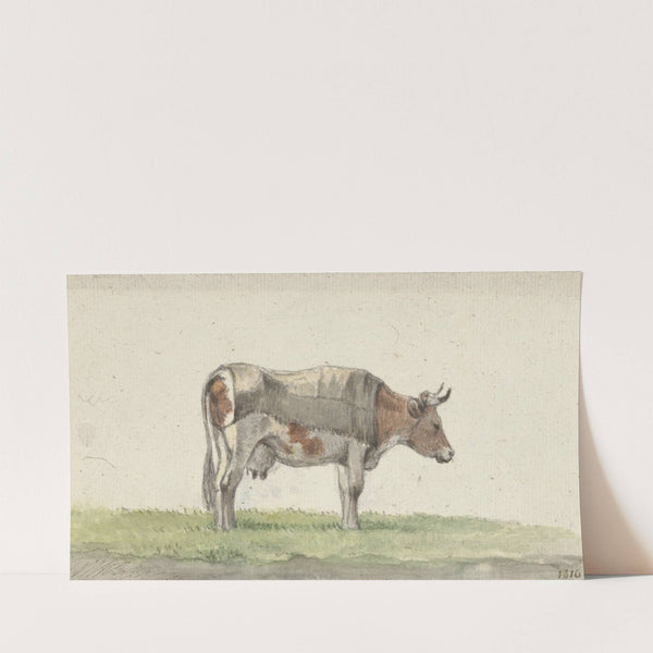 Staande koe, naar rechts (1816) by Jean Bernard