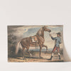 Stable Boy Holding a Horse in a Landscape by John Collet